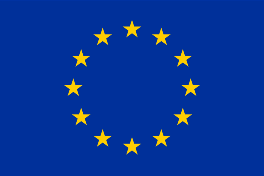 European Union Flag