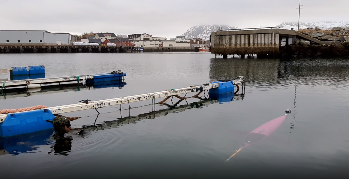 Ehsan Abdi of Cyprus Subsea in the water testing the M1 Seaglider in a harbour